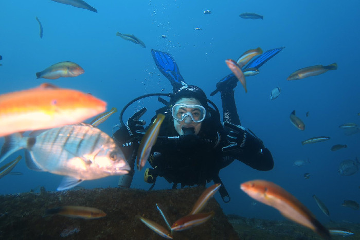 Basic Diver :: Sea Dreams